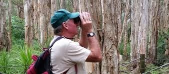 Birding & Wildlife Tour with Aussie Bird Tours in Sydney