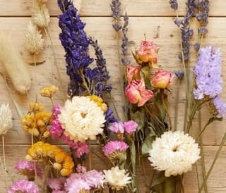 Crafting Joy: Dried Flower Workshops with Baby Animal Snuggles in Dresher, PA