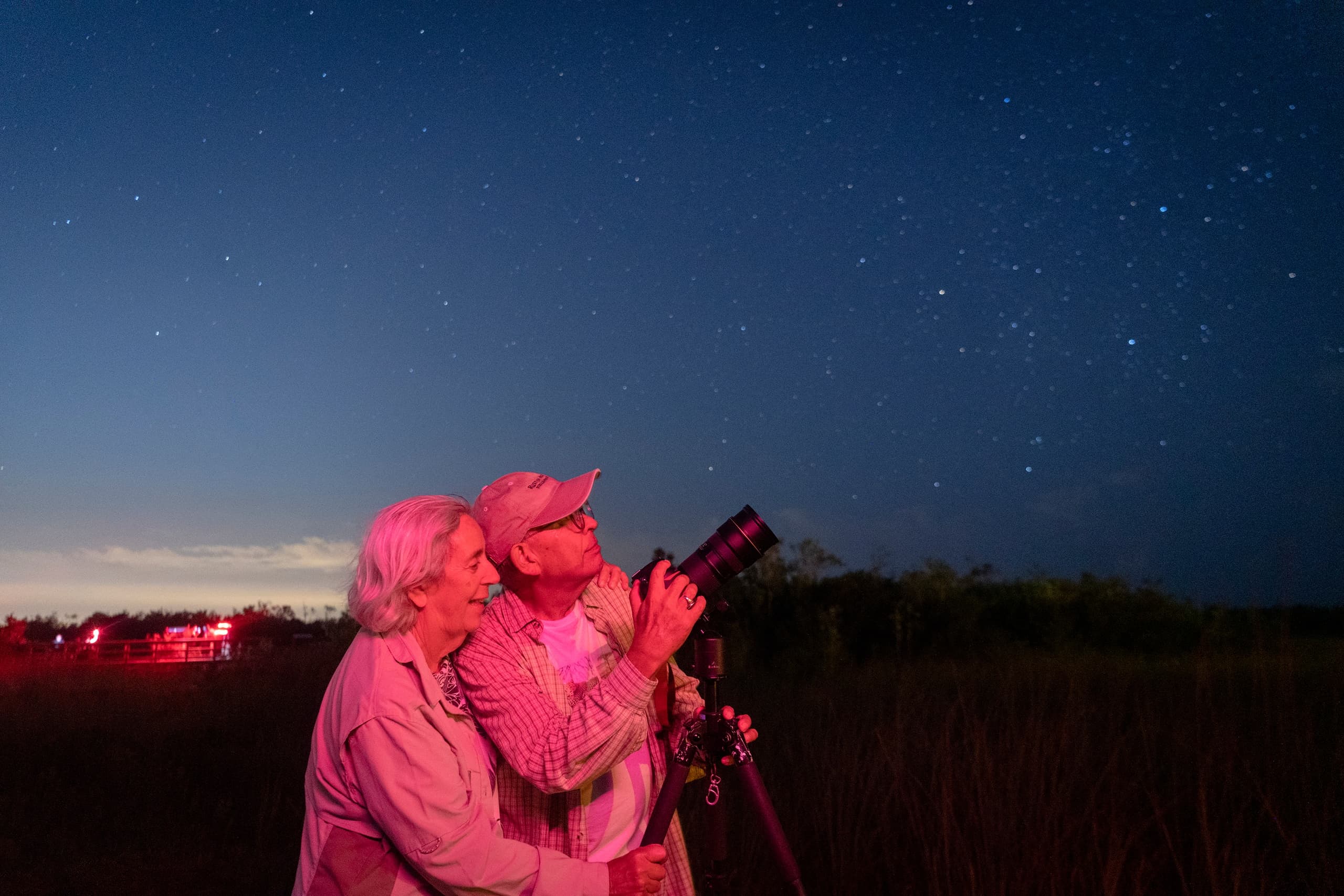 Everglades After Dark: Ranger-Guided Nighttime Walk at Shark Valley