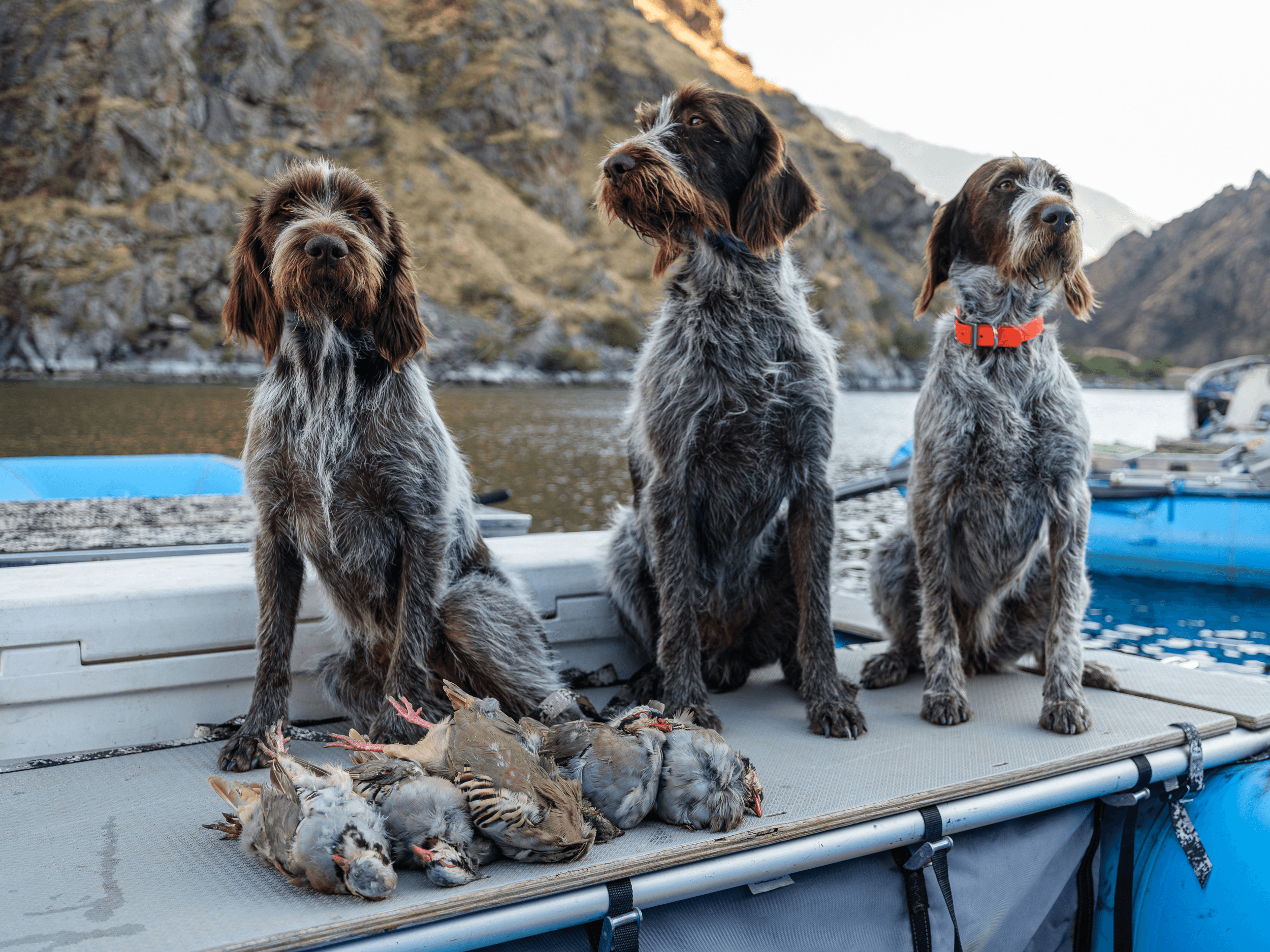 Wildwater & Hunting in Hells Canyon with Minam Store