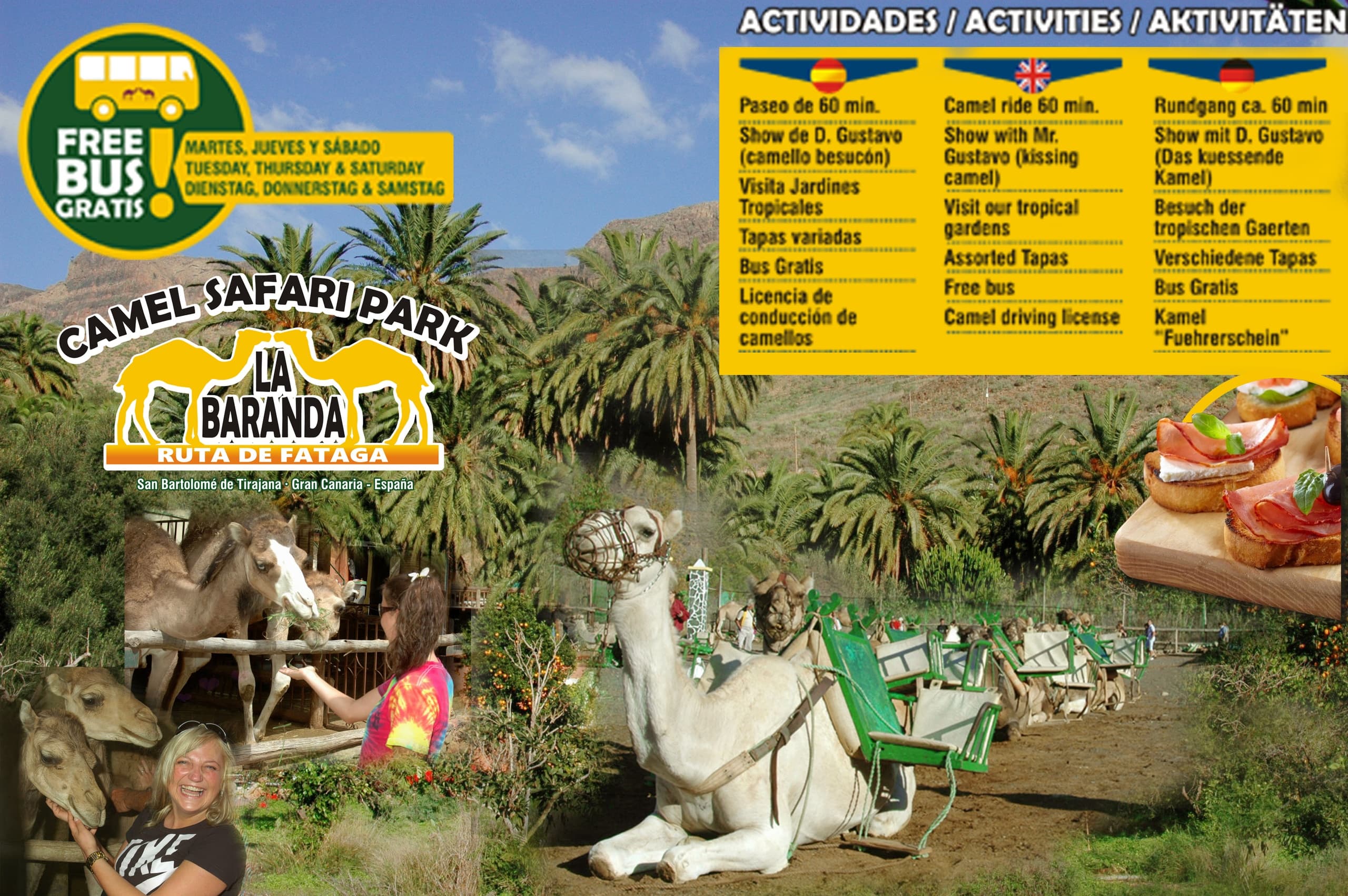Camel Safari Park La Baranda fleet