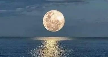 Water-Activities: Cape Water Tours' Full Moon Cruise Experience