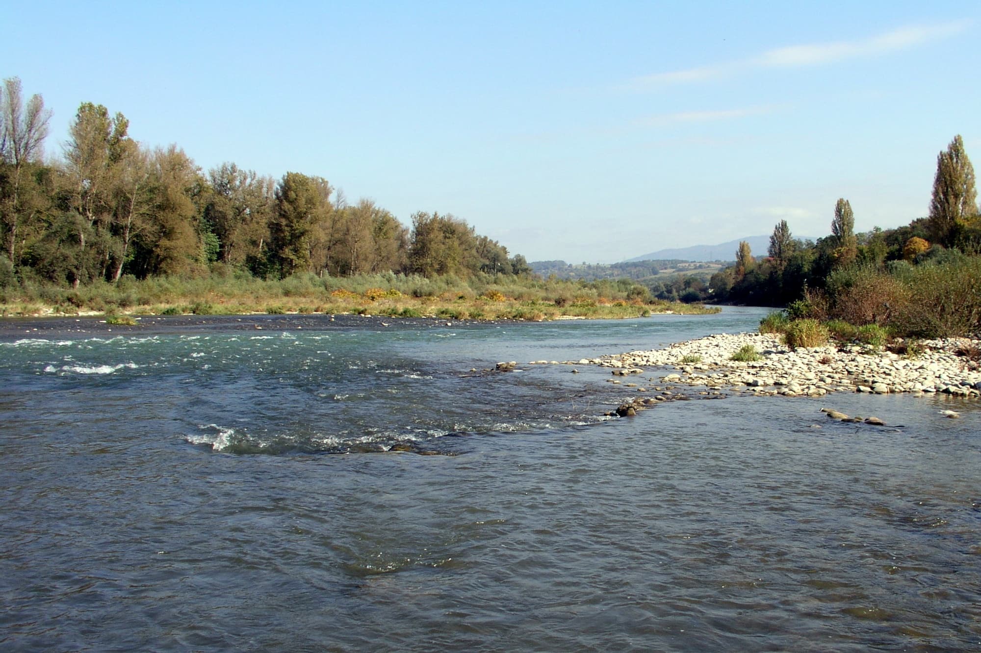 Guided Altrhein Canoe Tours with Wildsport Tours