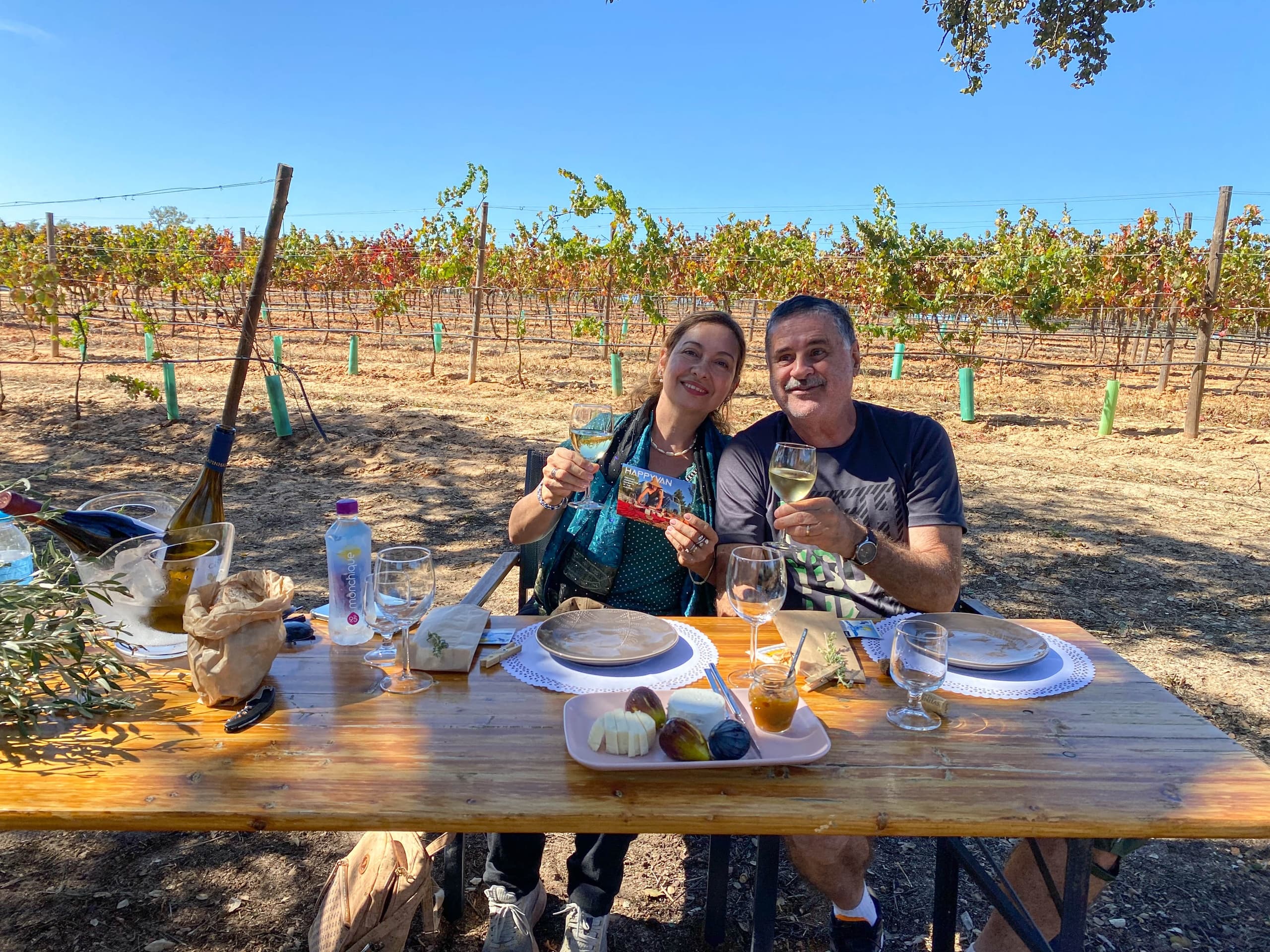 Romantic Vineyard Picnic with Happy Van in Portimão, Algarve