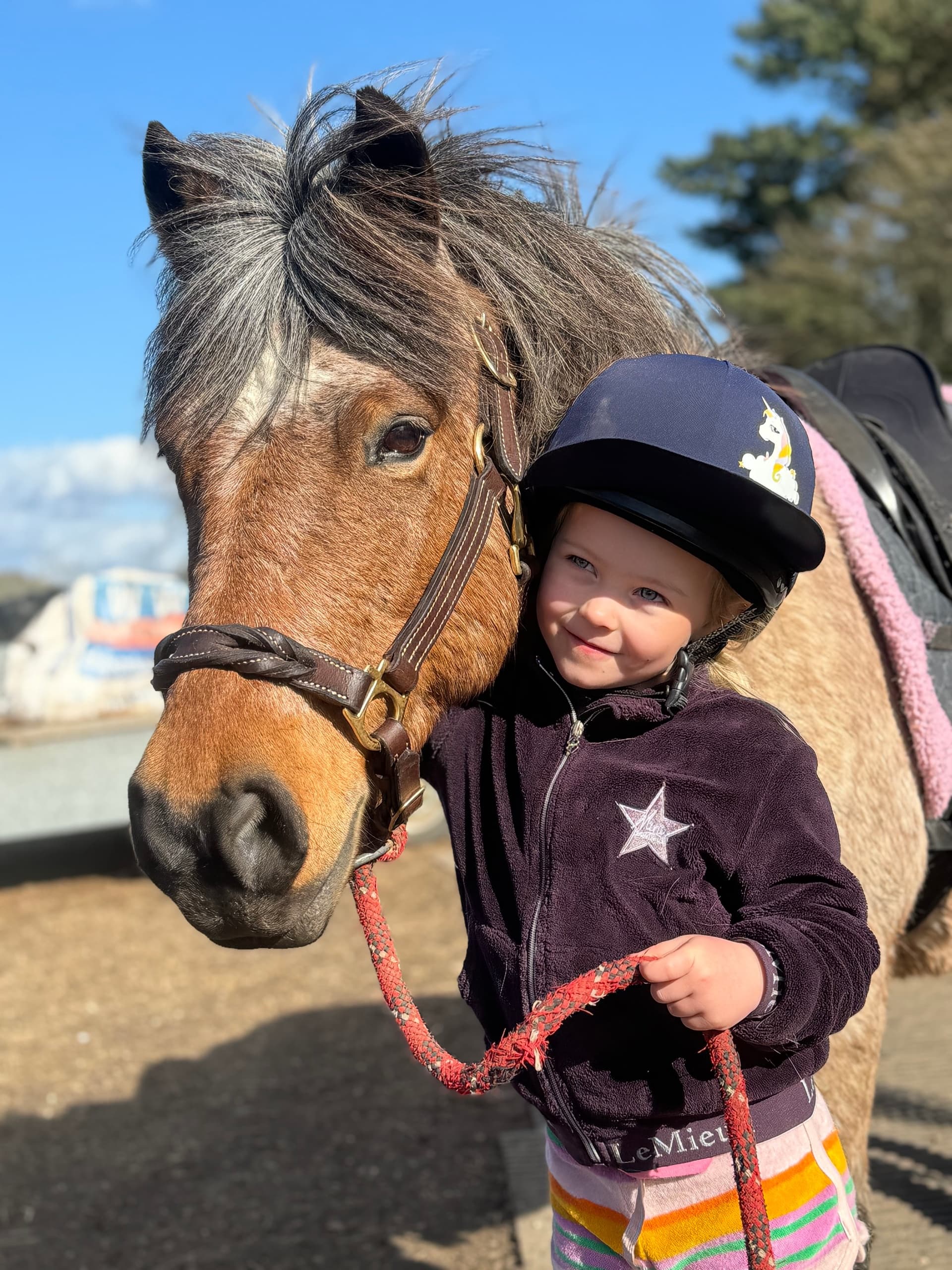 Young girl hugging a pony at a sunny outdoor stable