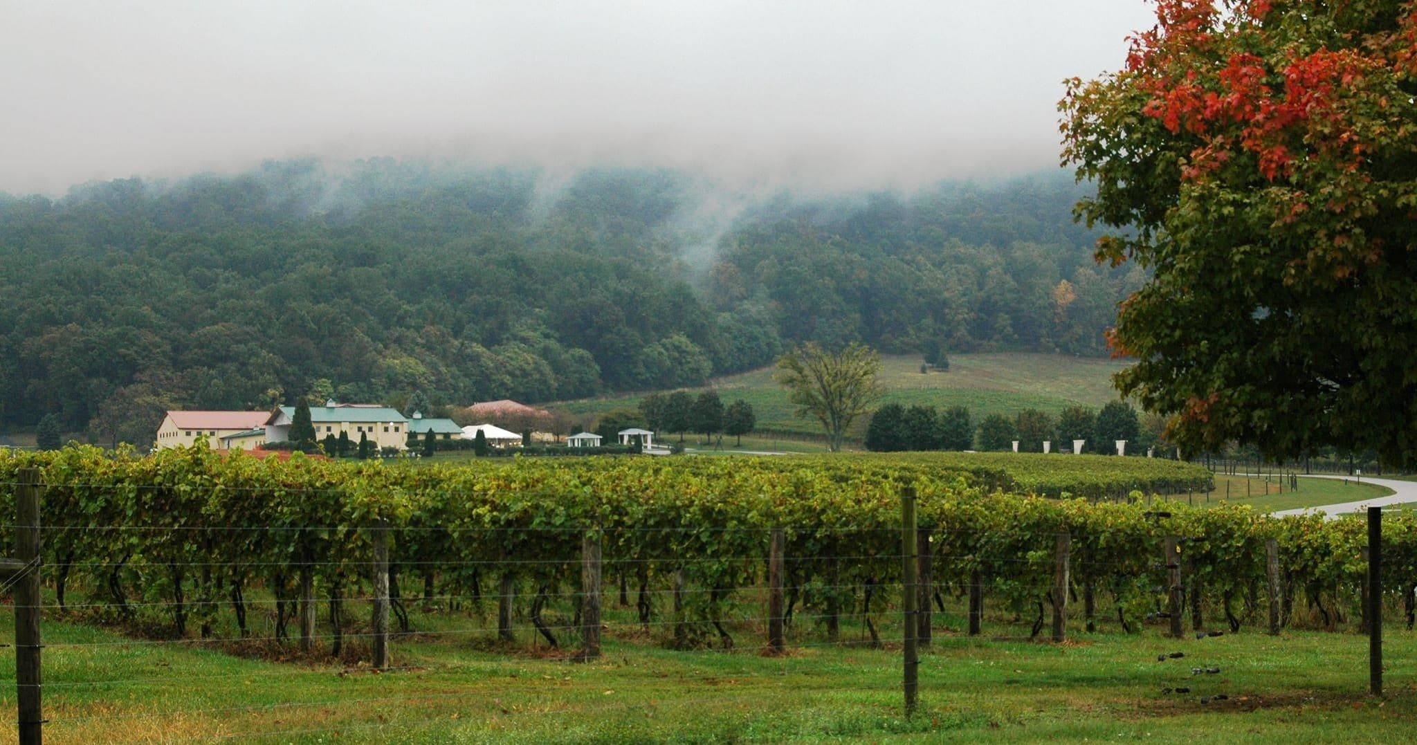 Vino Virginia team