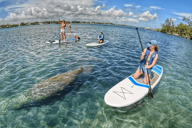 Water Activities at Fairfield Inn: Paddle Boarding in Florida Keys