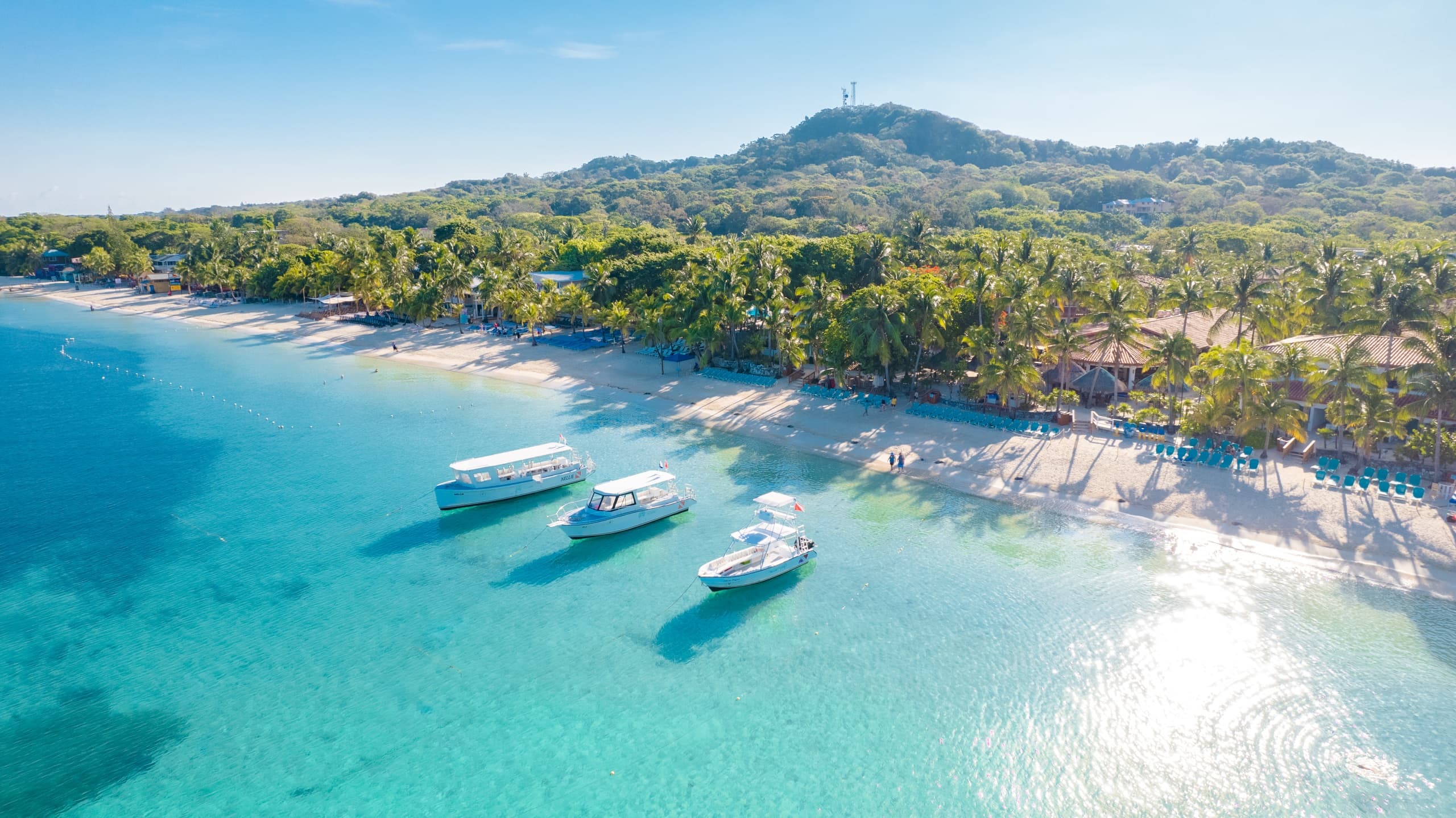 Roatan Dive Week: Mayan Princess Luxury Resort & Five Days on the Mesoamerican Reef (Dec 11–18, 2027) photo 2