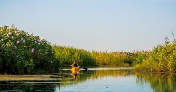Kayak Rental at North Guana Outpost in Ponte Vedra Beach