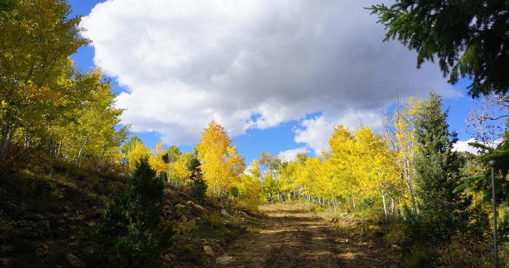 Experience Cozy Yurt Camping at Soldier Summit in Utah’s Stunning Outdoors