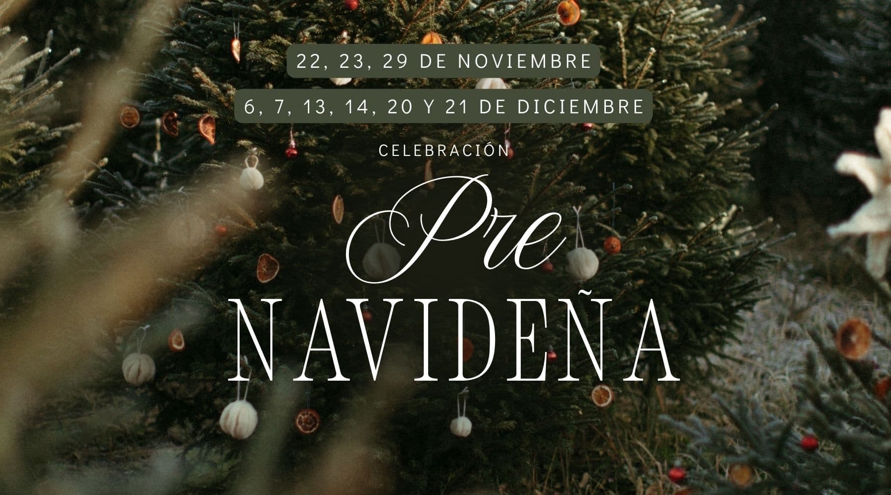 Festive Pre-Christmas Lunch at La Masia Tordera: Catalan Feast, Show & Dance