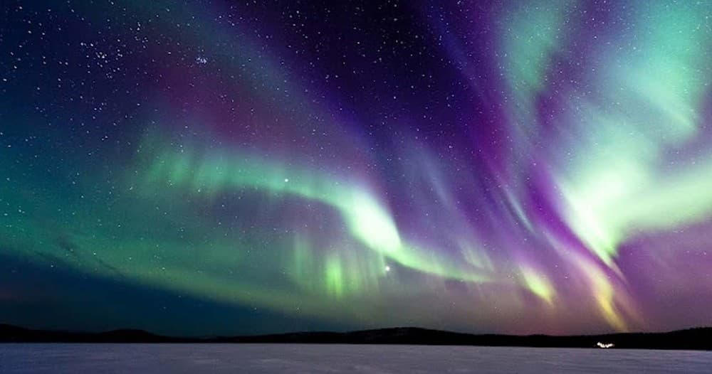 Winter Wildlife & Aurora Tour at Kakslauttanen