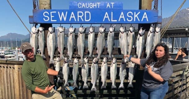 Seward Alaska dock with row of caught salmon on display