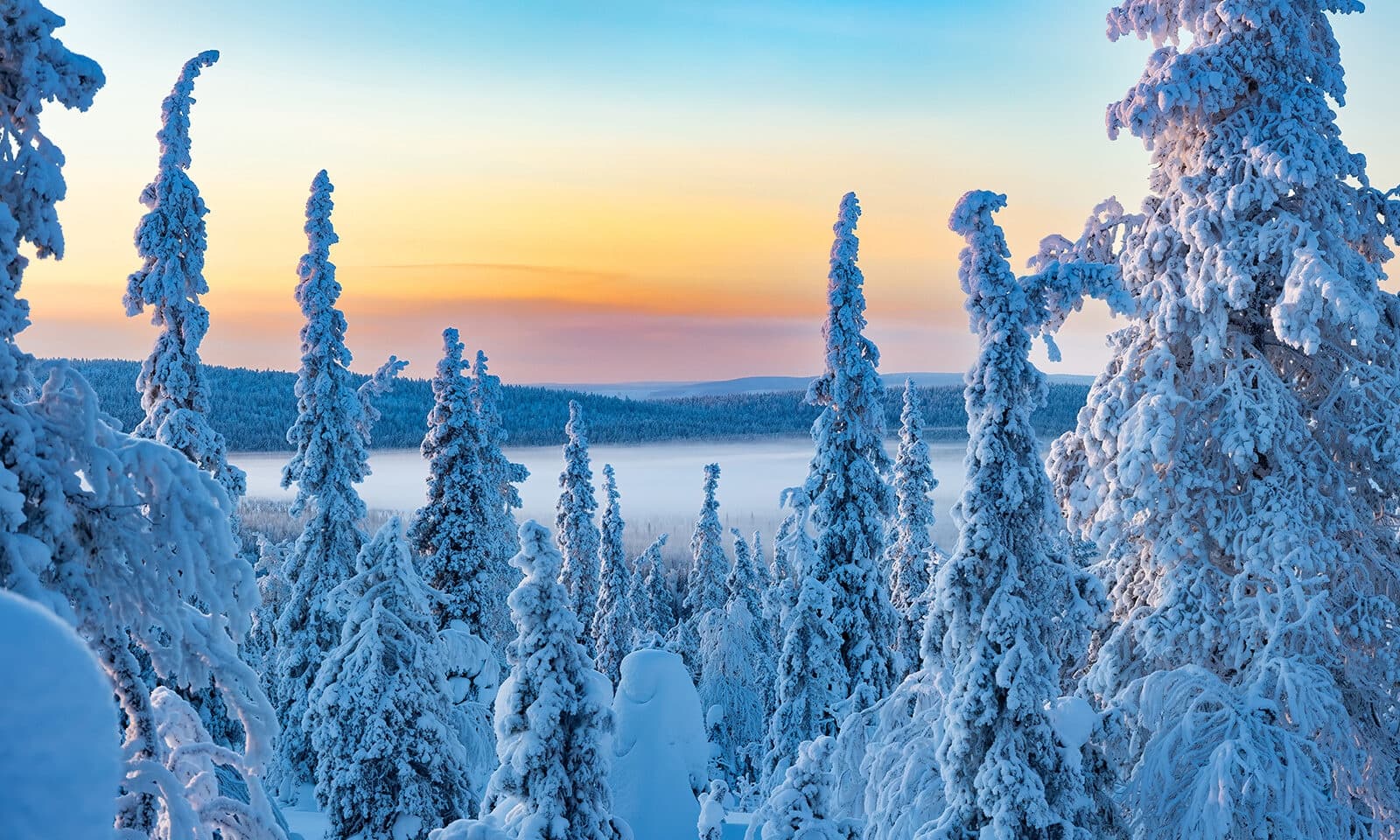 Snow-covered pine forest at sunrise over frost-filled landscape