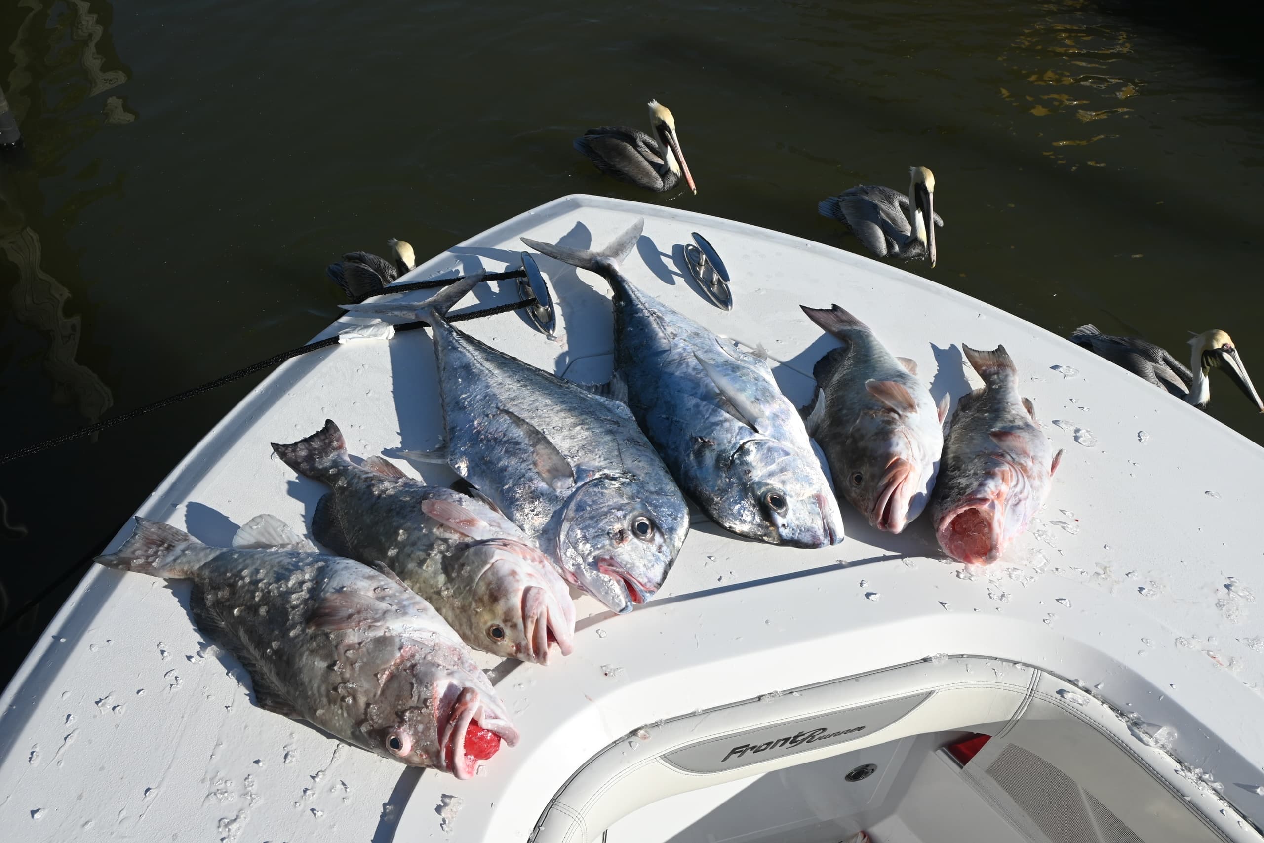 Hooking Giants: Full-Day Offshore Fishing in Naples Aboard The Bottom Line photo 4
