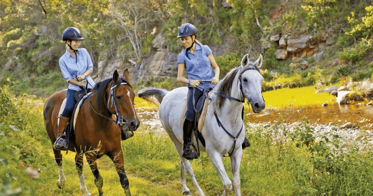 Horseback Riding in Lockyer Valley with Fordsdale Horseback Adventures