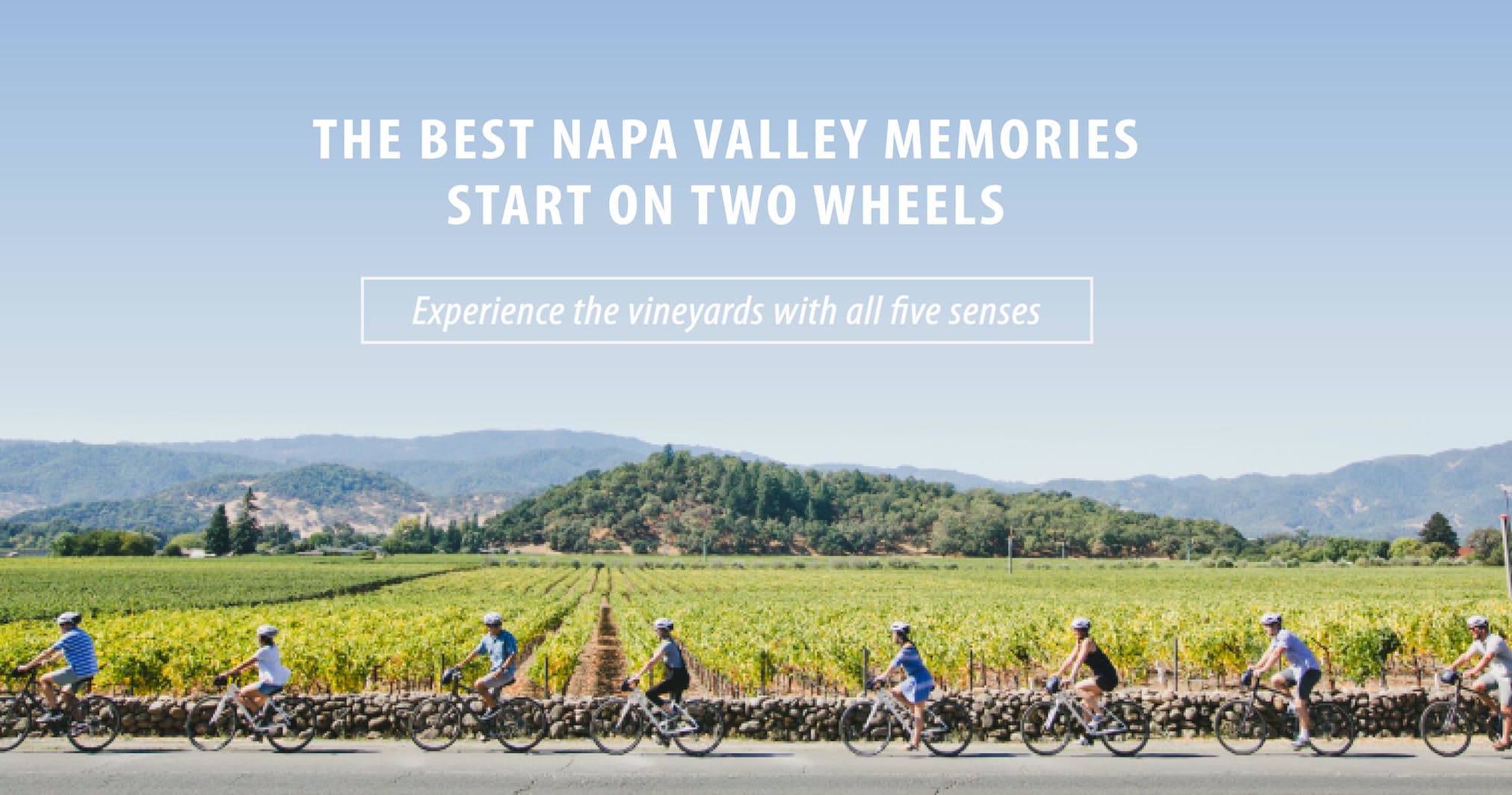 E-Bike Napa's Lavender & Olive Farms for Tastings and Picnics