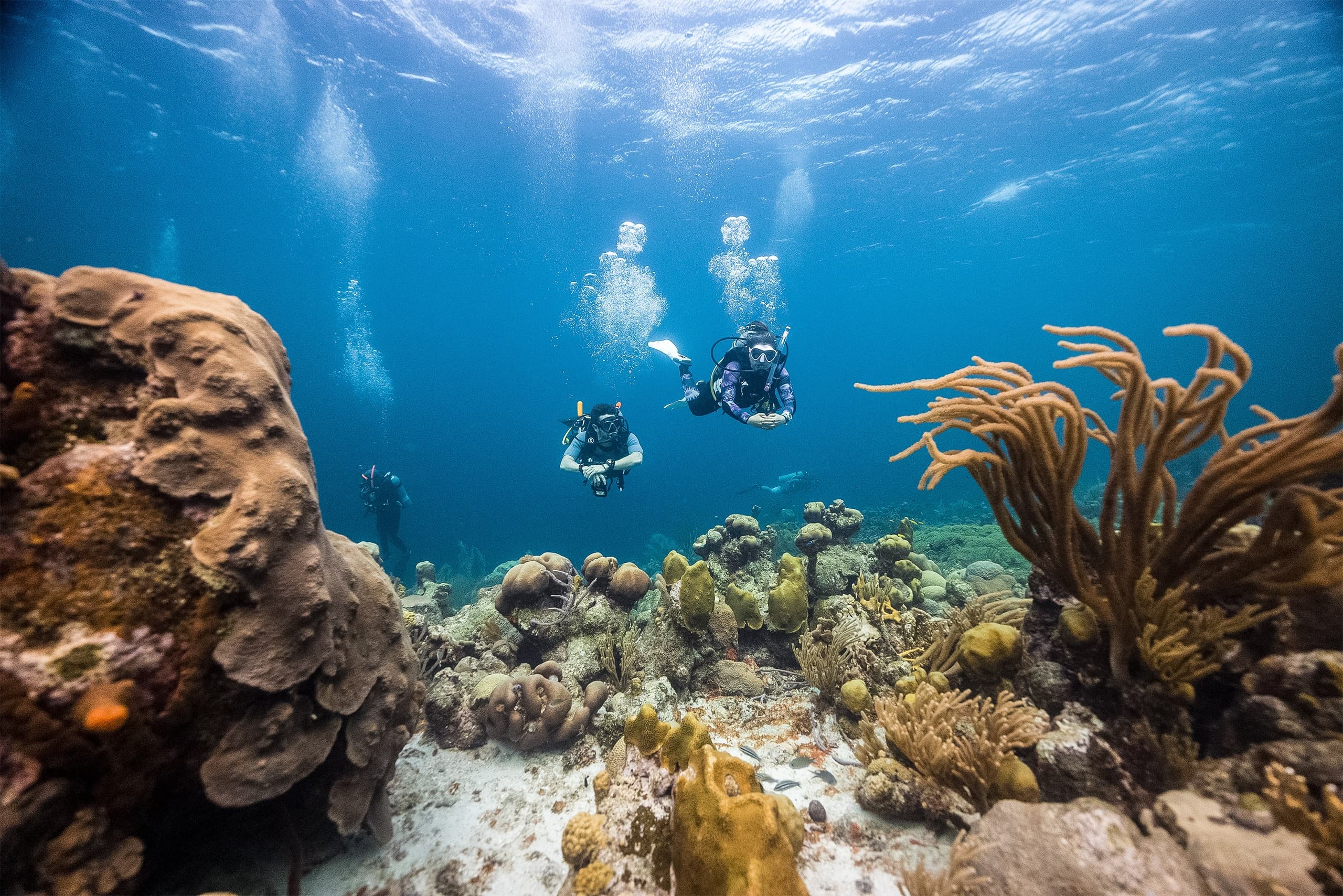 Ten-Dive Intensive: 5 Trips | 10 Dives from Key Largo Reefs