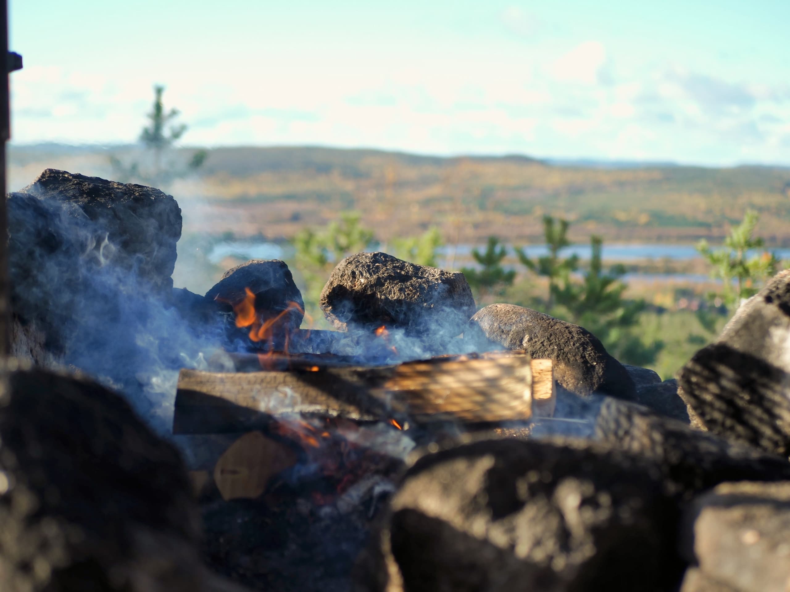 Dog-Powered Hikes in Riisitunturi: 5-Hour Cani-Randonnée in Posio, Lapland photo 1