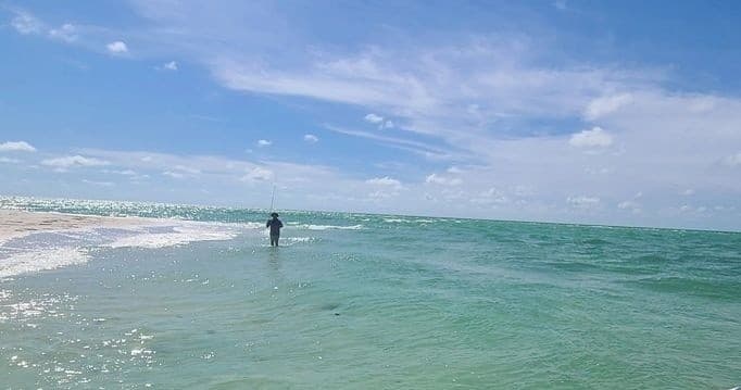 Sandbar Trip with Boober in Dunedin, Florida
