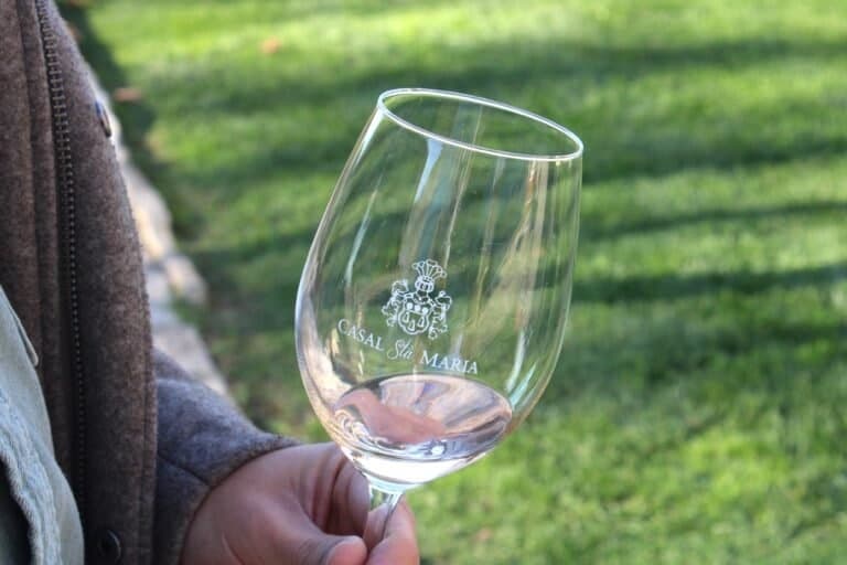 Sintra Wine & Culture Journey with NobuTourism Portugal