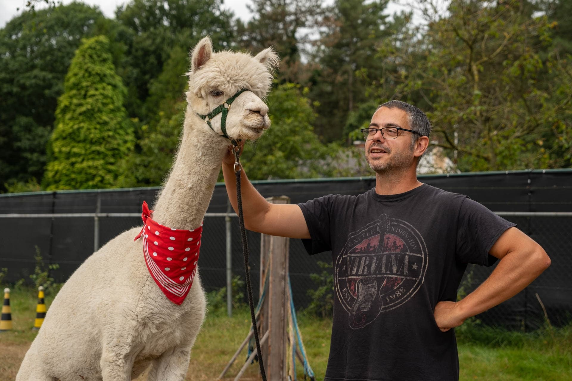 Coffee, Cake and Alpacas: Fokkersdag at Alpacaboerderij in Bocholt