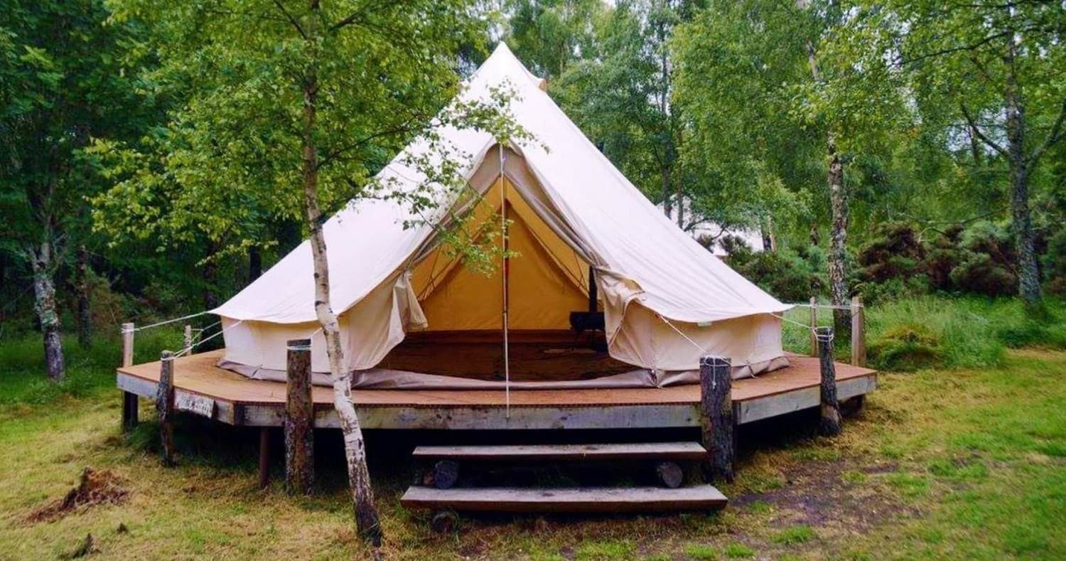 Wild Camping & Glamping with ACE Adventure Ltd in Birch Woodland