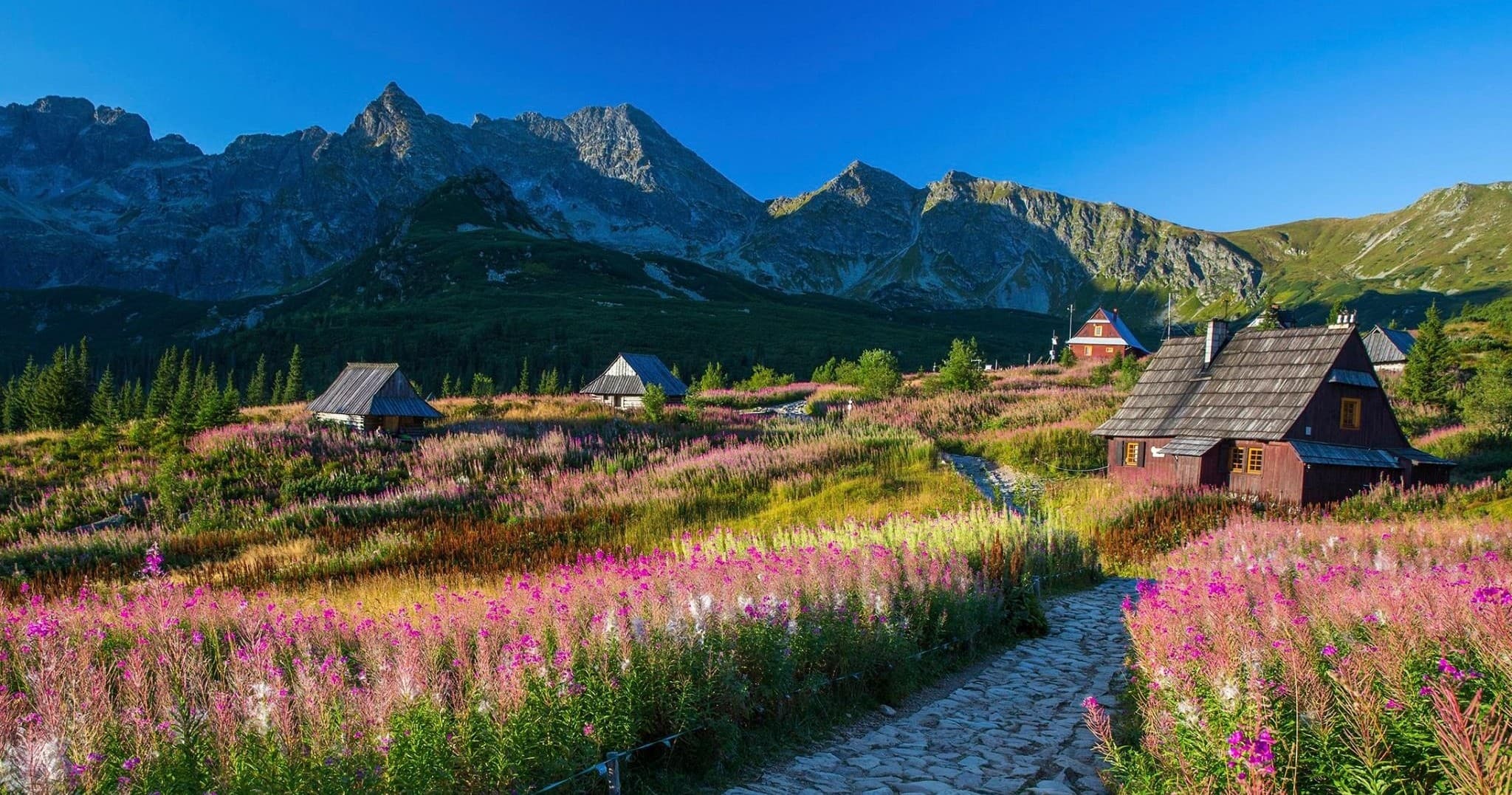 Tatra Mountains & Zakopane Discovery with Krakow Urban Tours