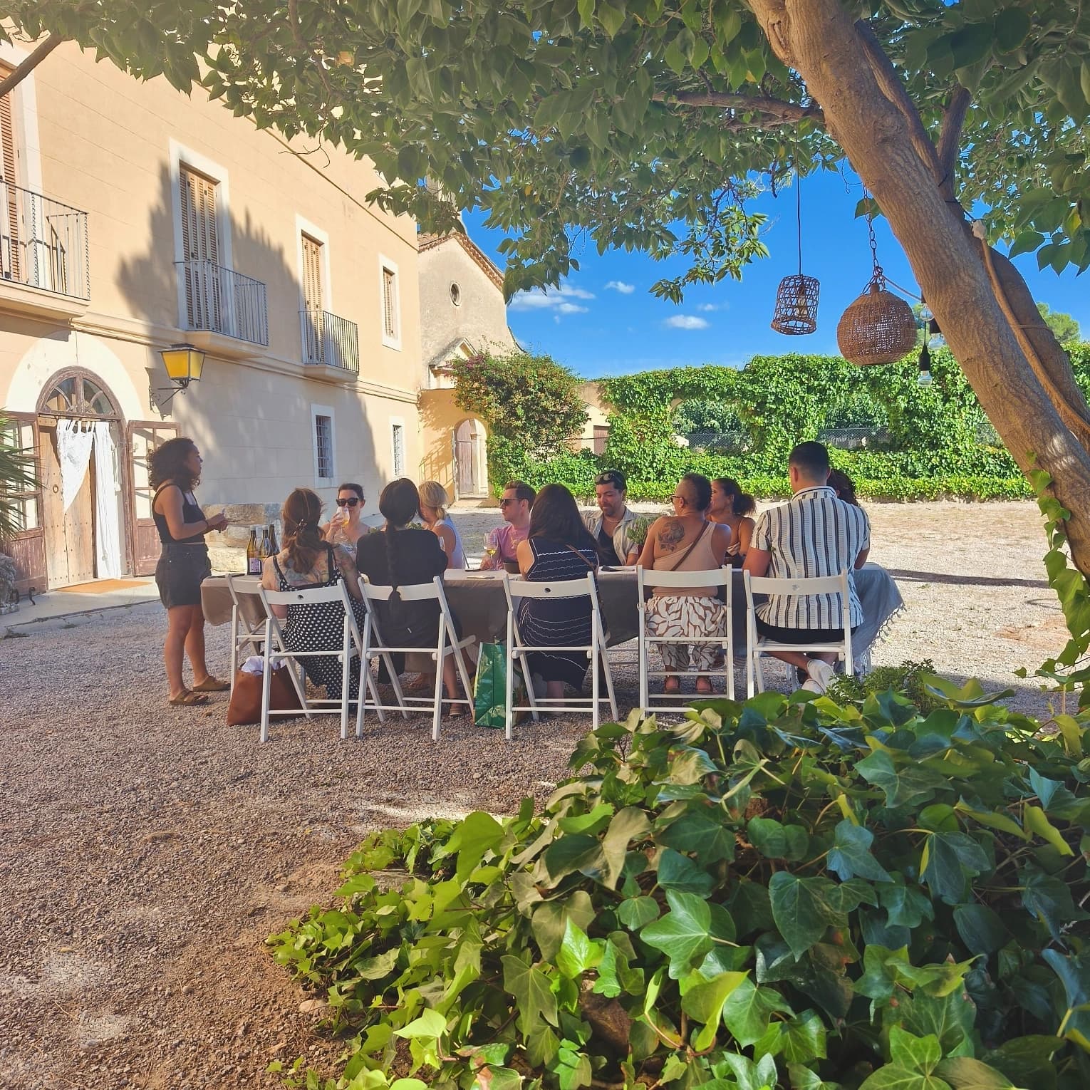 Driving for Vino: Penedès Winery Tour from Sitges photo 3