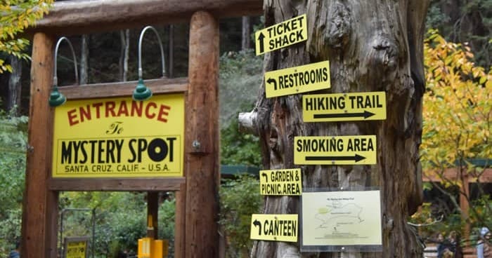 Land Adventures at Mystery Spot near Santa Cruz