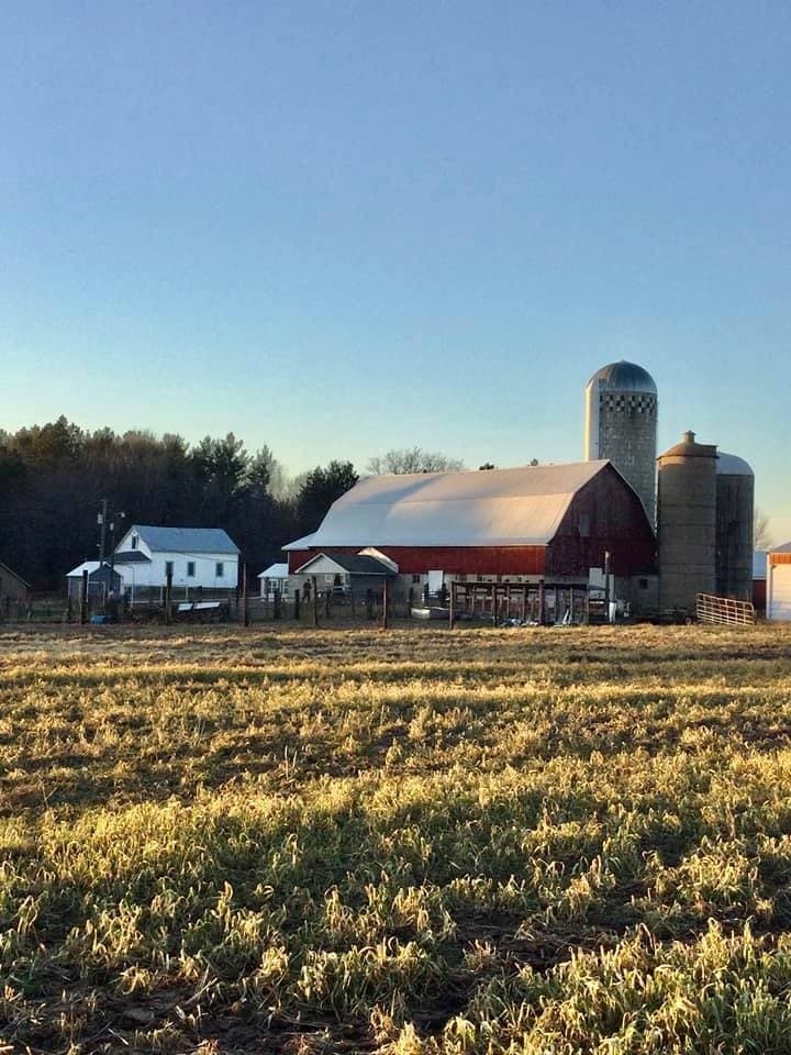 Weekend Group Admission at Merrill Farm: Corn Mazes, Petting Zoos & Pumpkin Picking