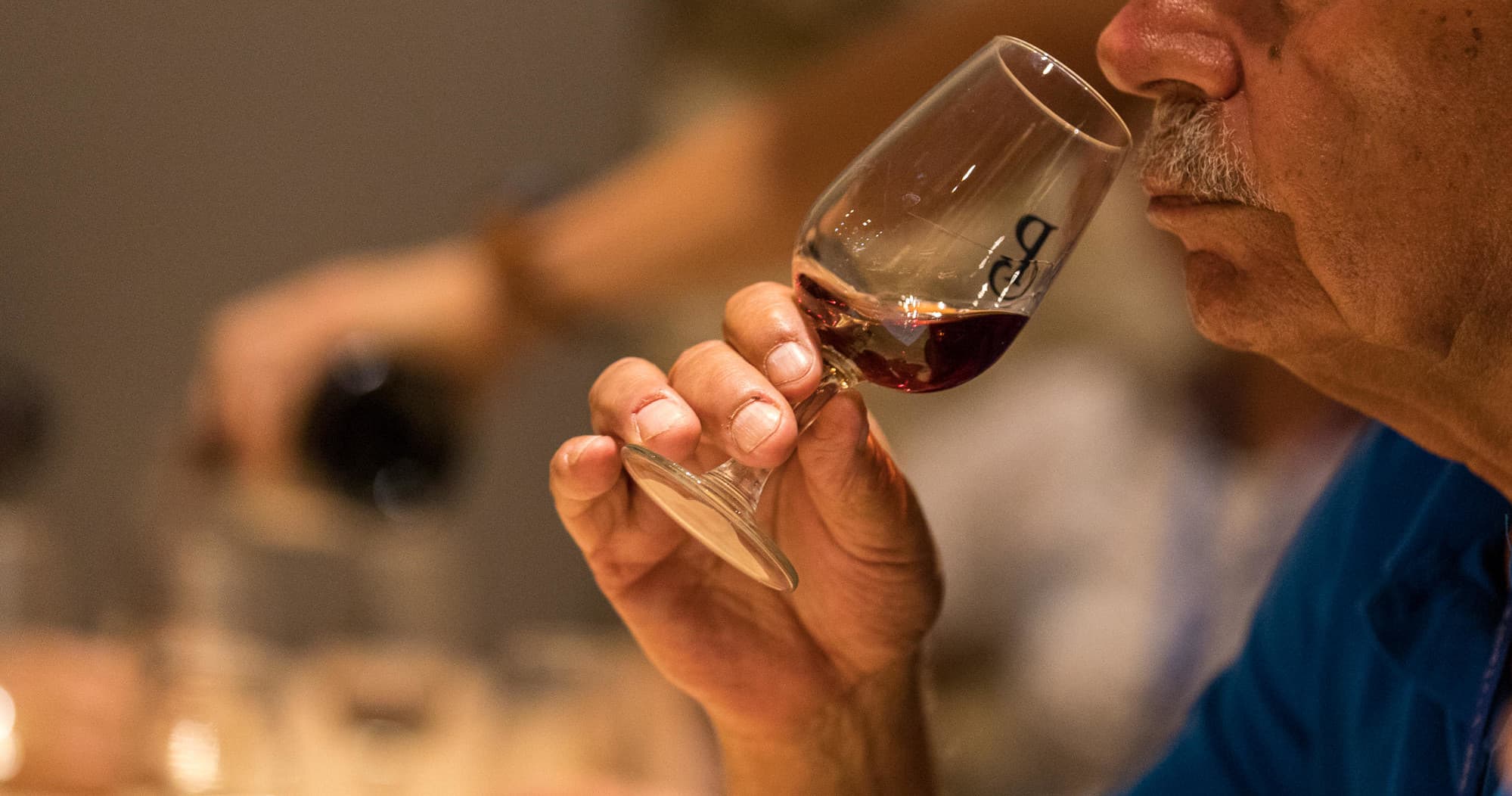 Wine & Caving Tour in Vila Nova de Gaia with Winemaker Selection Experience