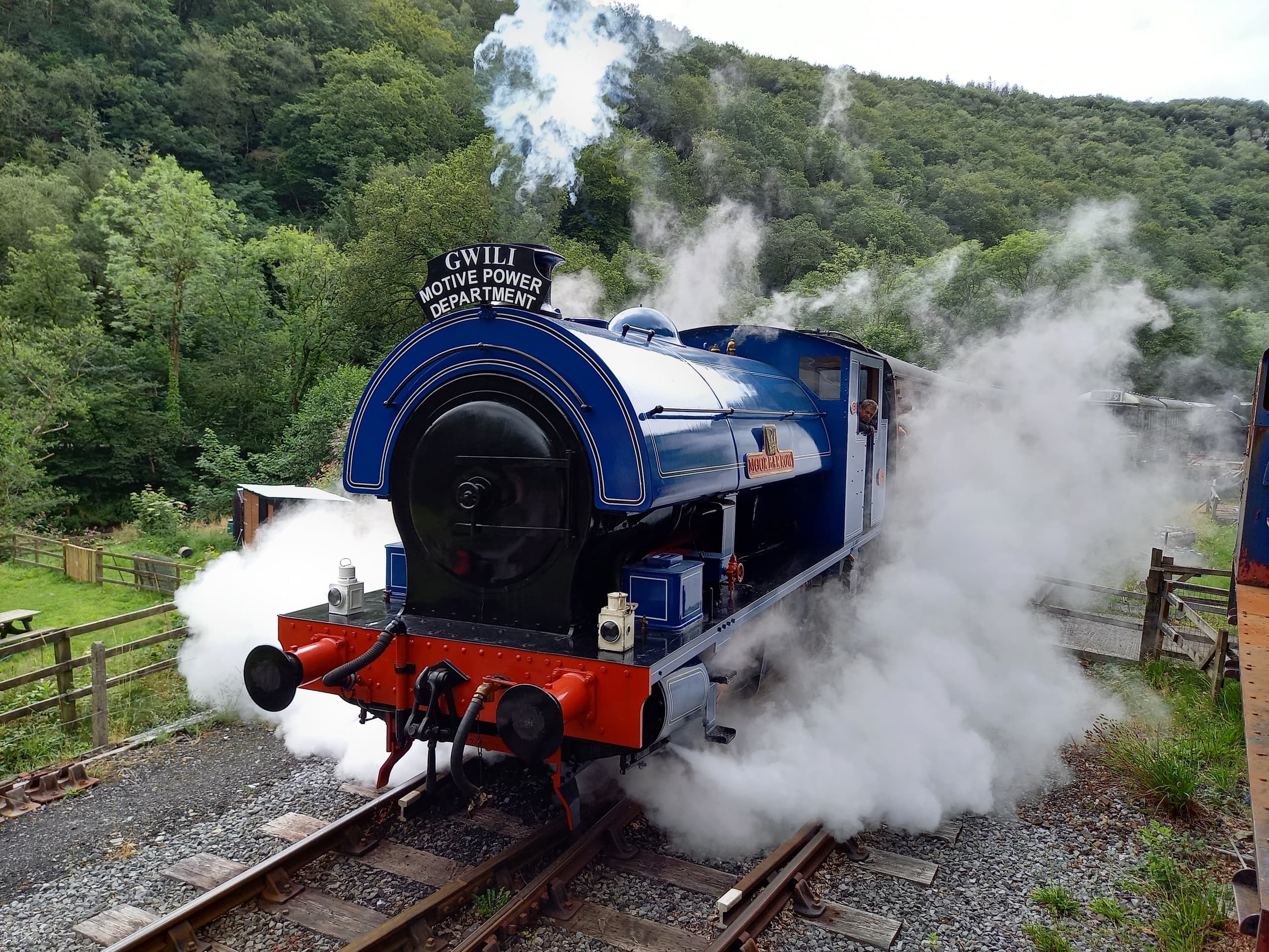 Heritage Rail Adventure with Gwili Railway in South West Wales