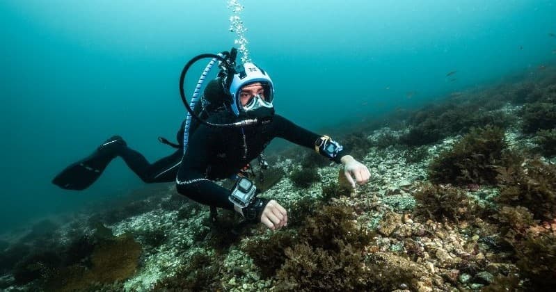 Full-Face Mask Diving at Catalina Divers Supply: Cold-Water & Scientific Diving Course