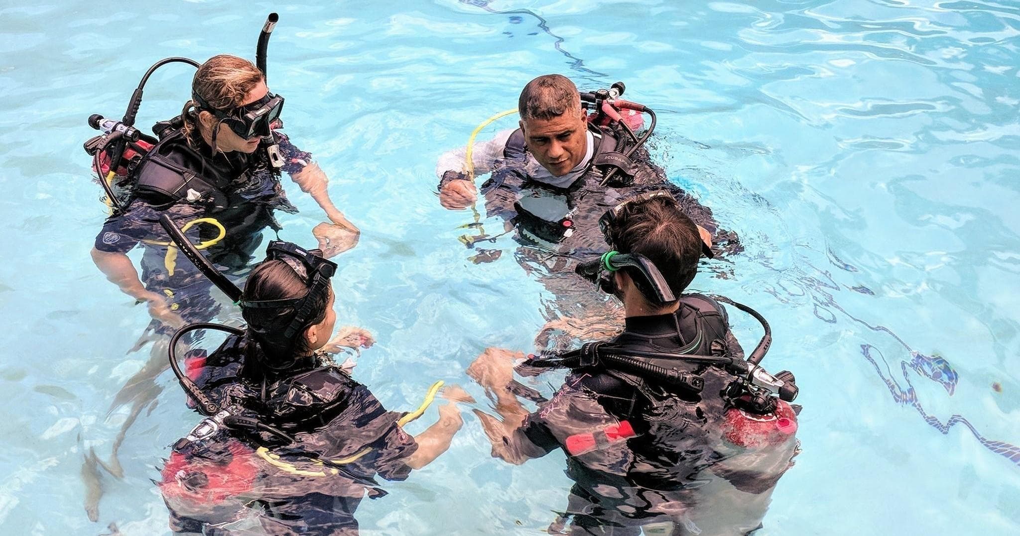 Water Activities & Dive at Tarpoon Lagoon Dive Center