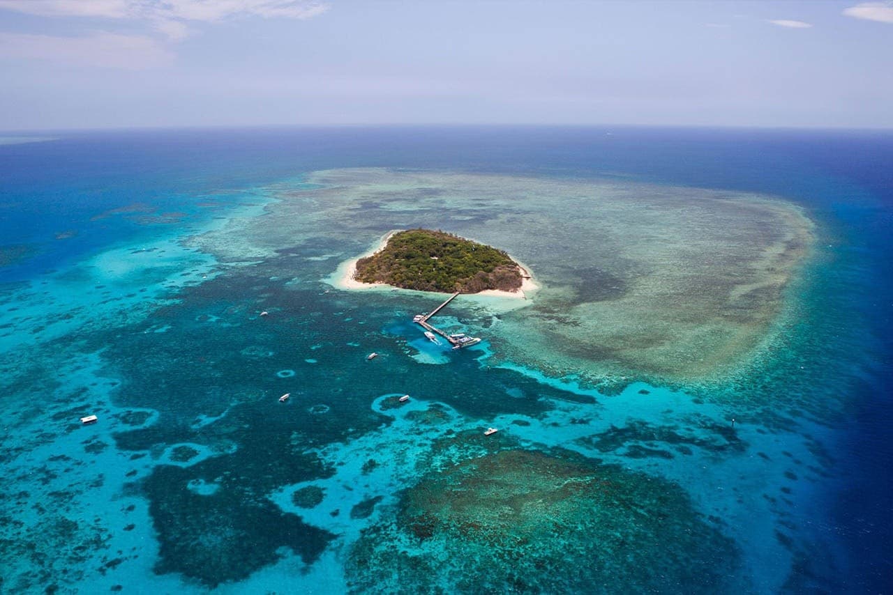 Cairns Reef & Rainforest: The Grand Tour Helicopter Experience