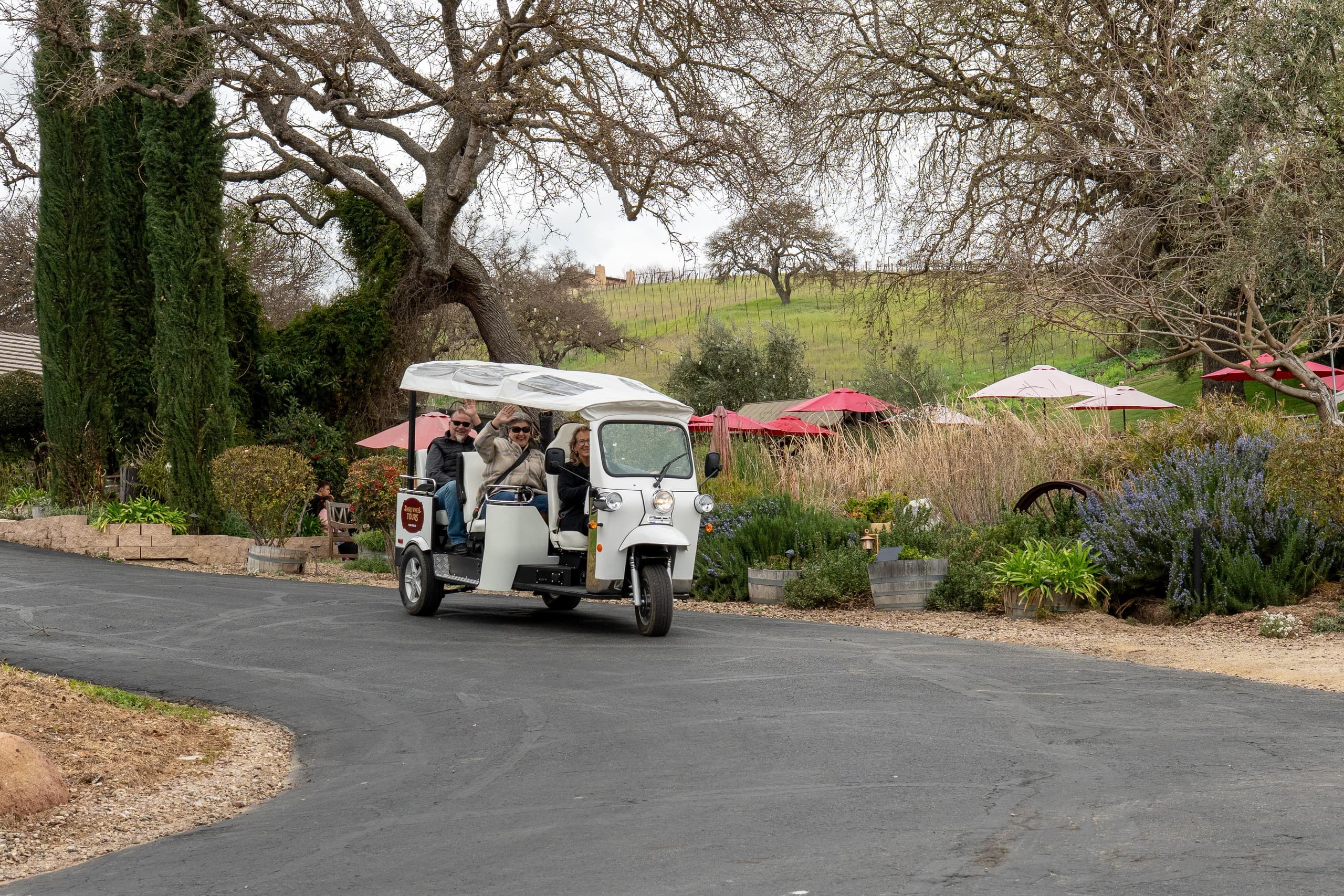 Paso Robles Tuk Tuk Winery Tour — Open-Air Vineyard Tastings at Cass Winery photo 4