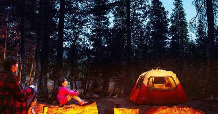 Campers by glowing tent at night in pine forest campsite