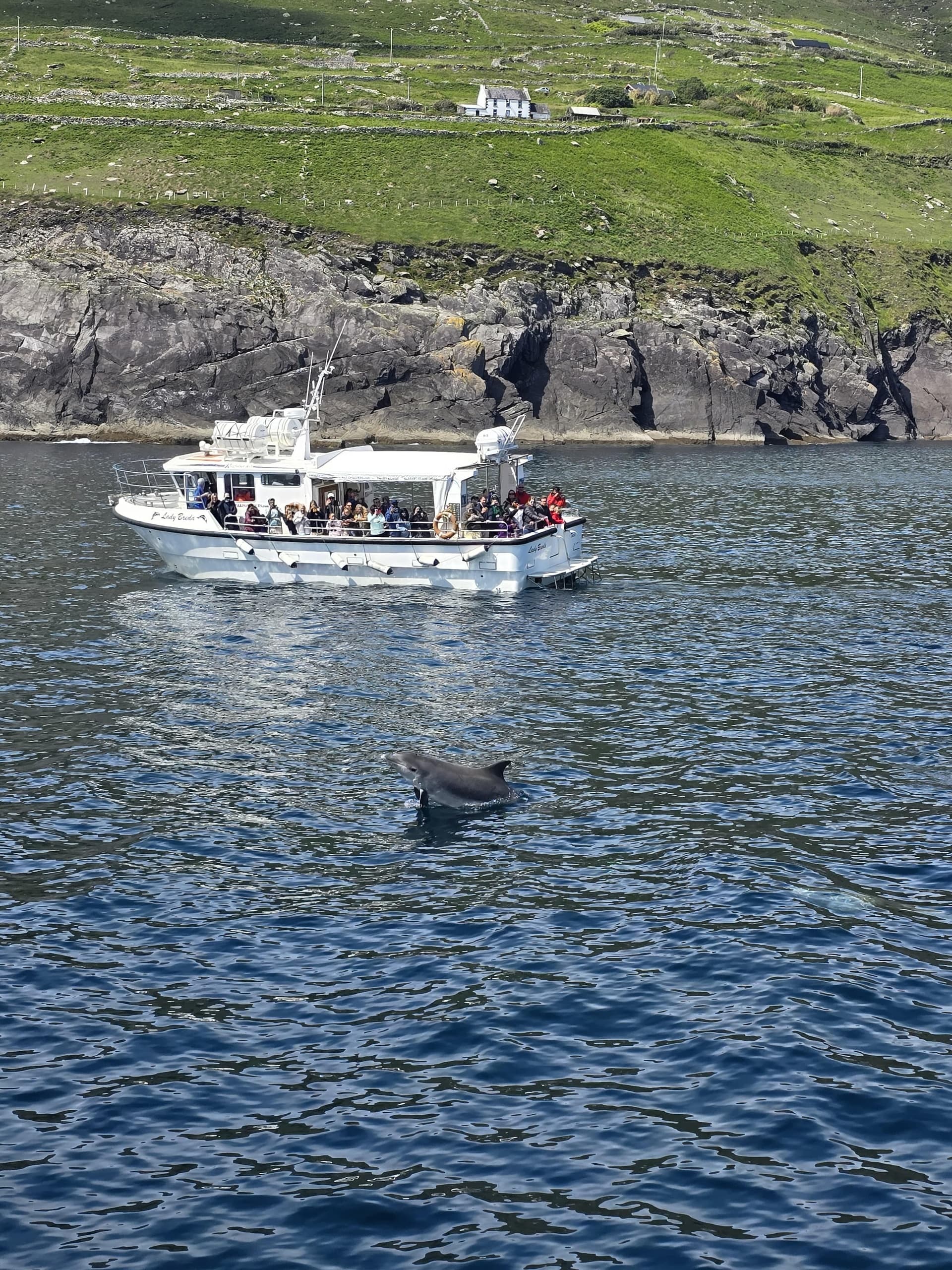 Blasket Island Eco Tour by Dingle Boat Tours in Kerry
