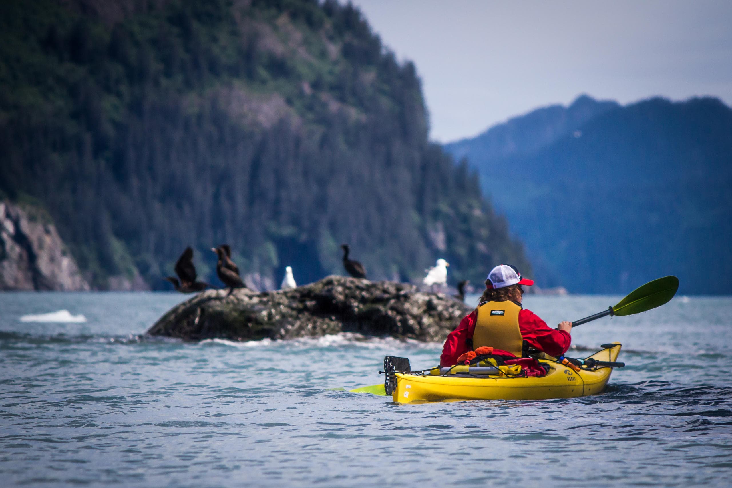Miller's Landing Fishing Adventure in Seward, Alaska