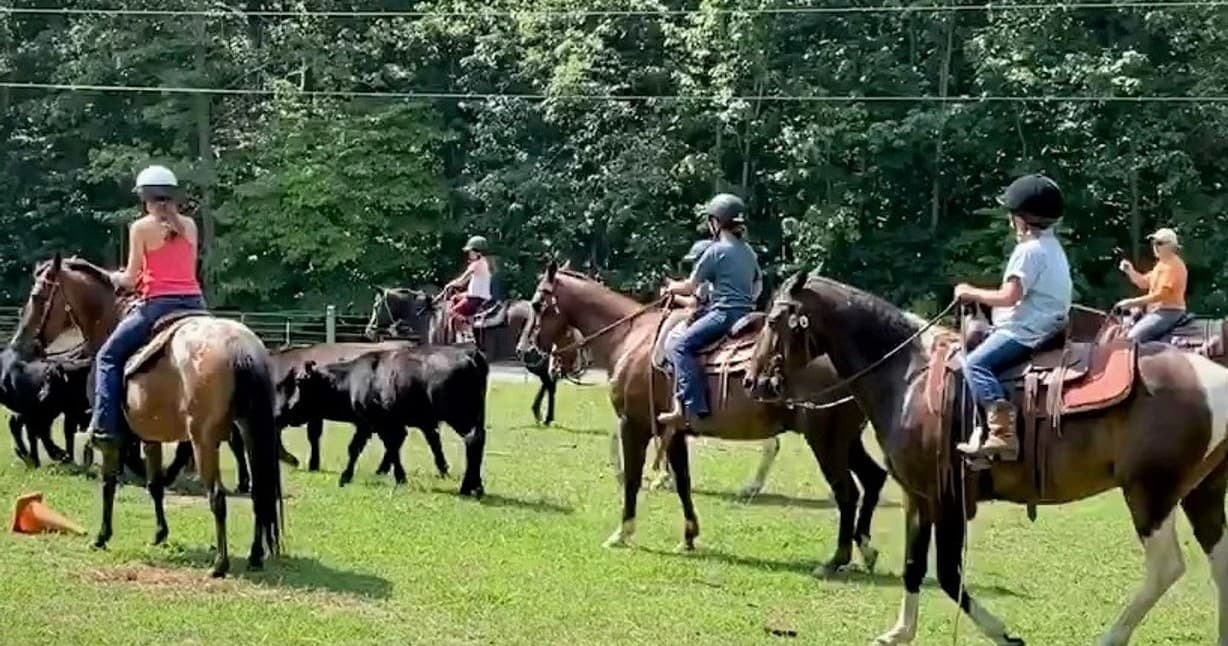 Horse Camping at Holiday Ranch LLC in Virginia