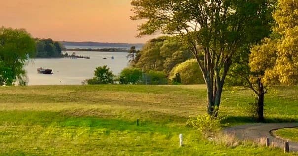 Scenic lakeside park with trees and boats ideal for picnicking