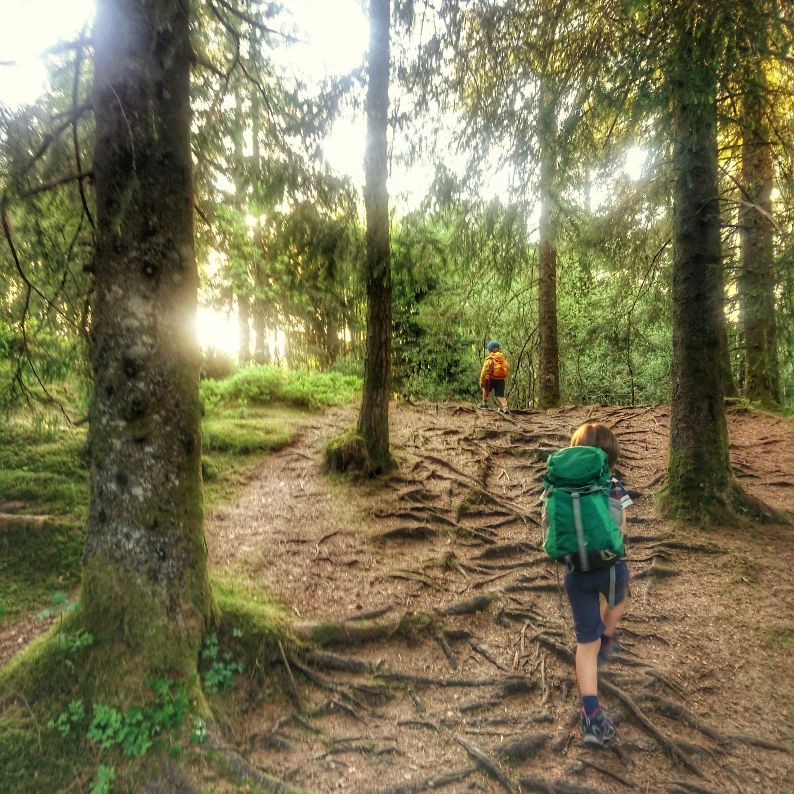 Island Adventure with Norway Mountain Guides near Bergen