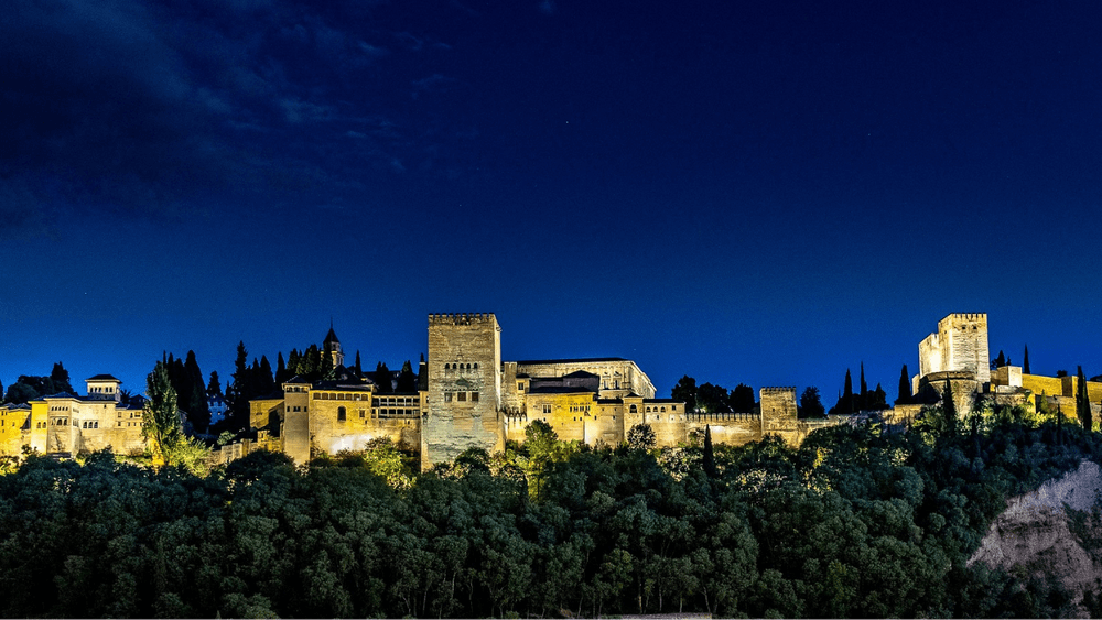 Night Tour of Nasrid Palaces with Granada Turismo y Ocio
