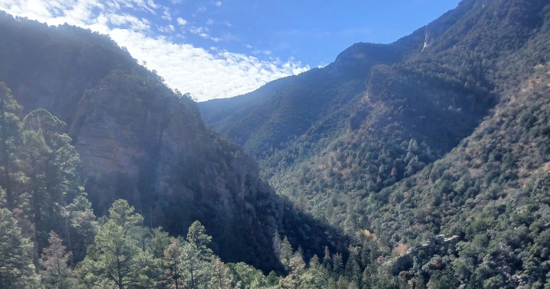 Explore Arizona’s Brown Canyon to Ramsey Canyon Loop: A Must-Hike for Wildlife and Scenic Views