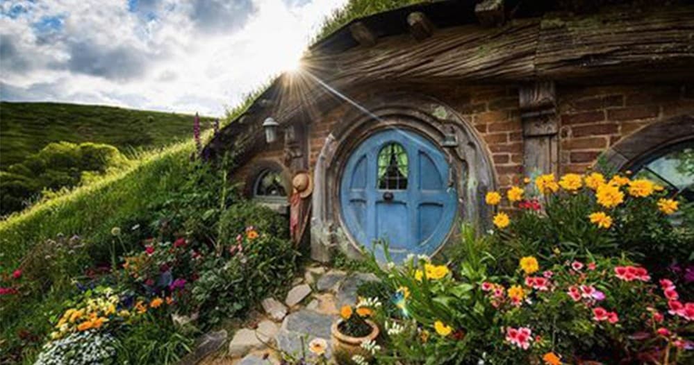 Hobbiton and Waitomo Day Tour from Auckland: Hobbit Holes and Glowworm Caves