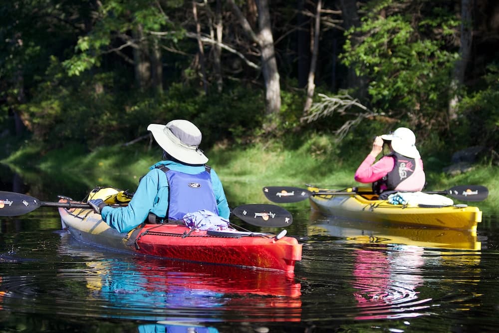 Wildlife Kayak Tours in Rye, New Hampshire