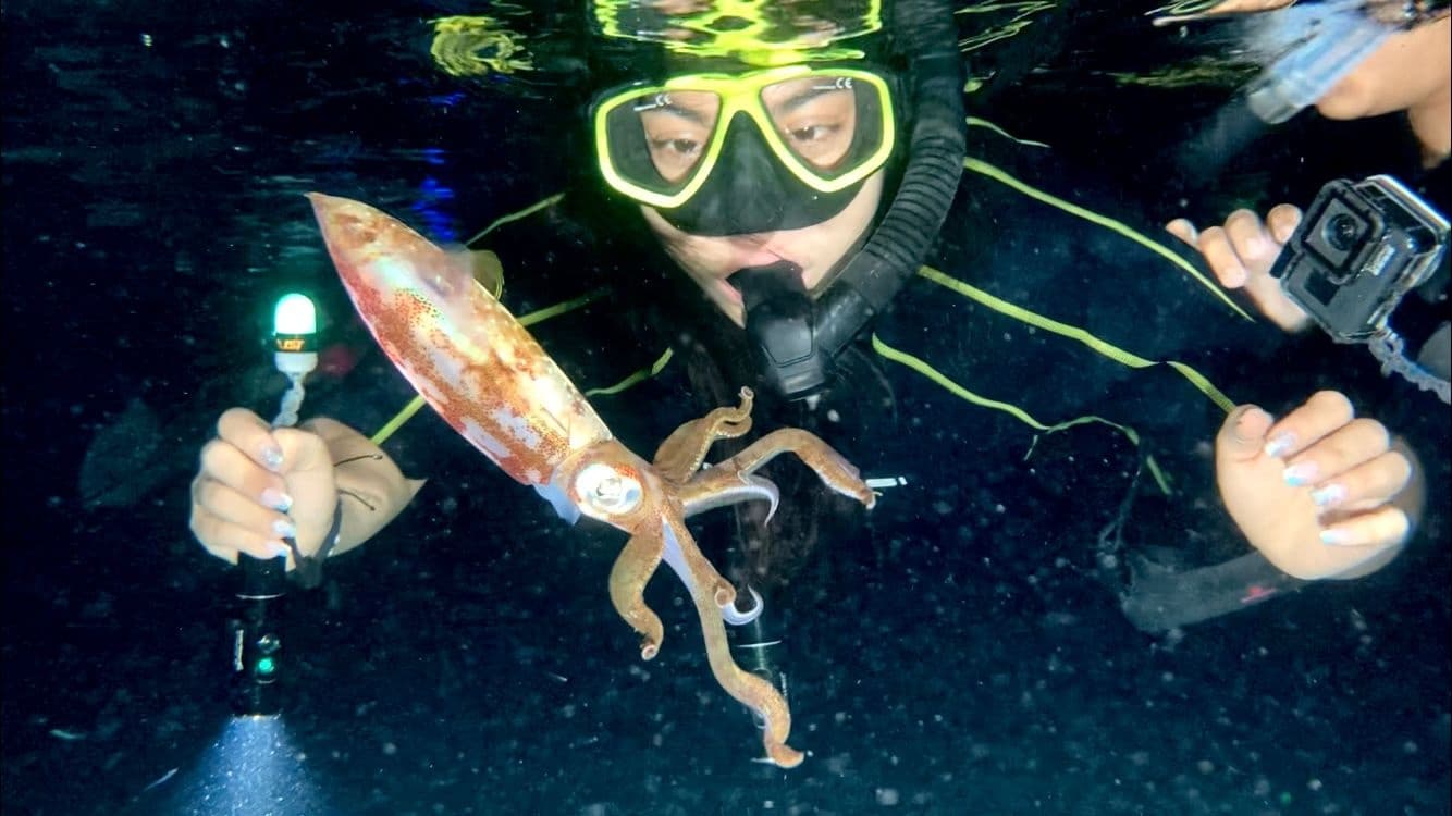 Water Activities with Aleman Travel Agency in Cancun