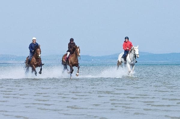 Westport Coast Horse Trekking with GoTrekking Equestrian Holidays