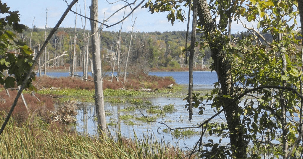 Kayaking Adventure at Round Lake with Upstate Kayak Rentals